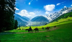 Amazing Kashmir