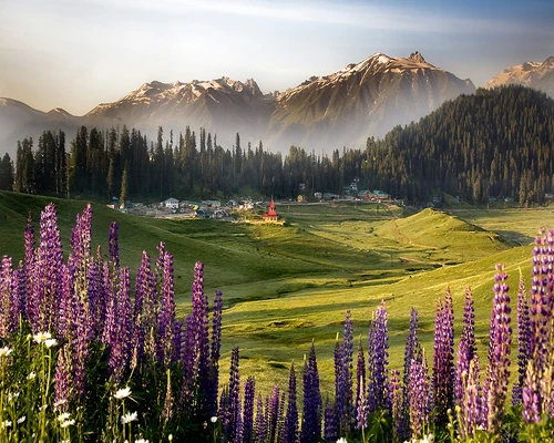 gulmarg meadows srinagar